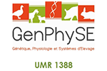 GenPhySE